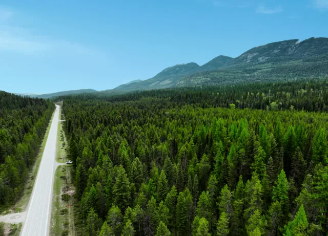 46.96 acres on the Highway 93 corridor, backing state land