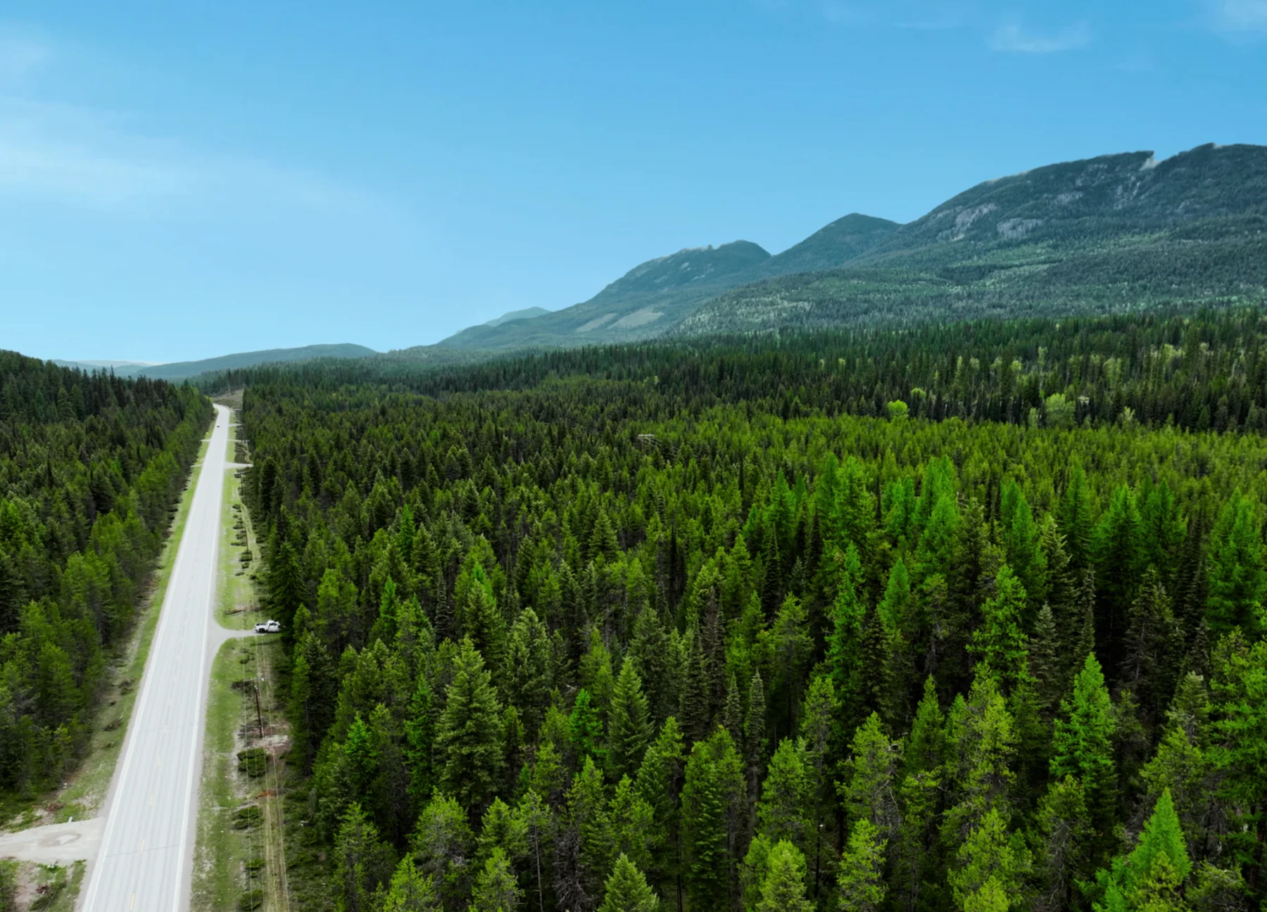46.96 acres on the Highway 93 corridor, backing state land 1 of 8