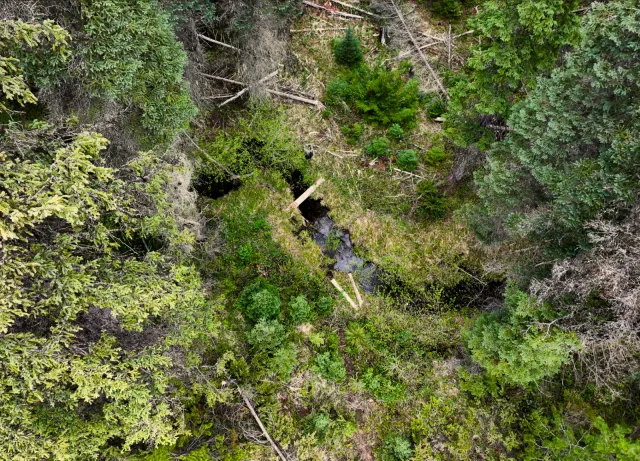 46.96 acres on the Highway 93 corridor, backing state land 4 of 8