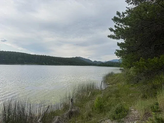 Blanchard Lake waterfront with 334 feet of frontage 2 of 16