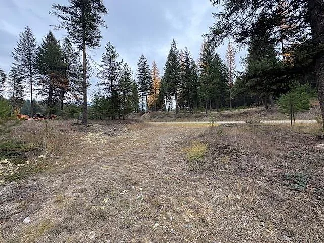 Forested acre bordering National Forest near Glen Lake 3 of 10