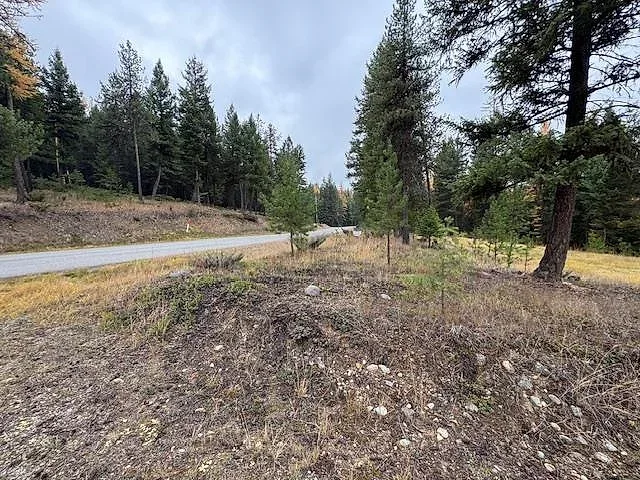 Forested acre bordering National Forest near Glen Lake 4 of 10