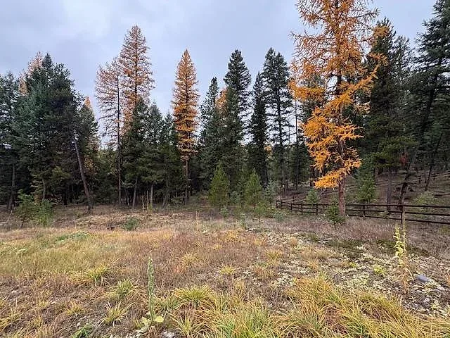 Forested acre bordering National Forest near Glen Lake 5 of 10