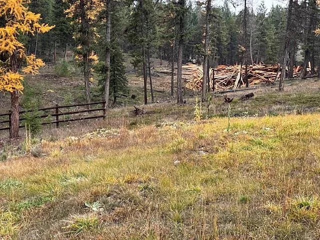 Forested acre bordering National Forest near Glen Lake 9 of 10