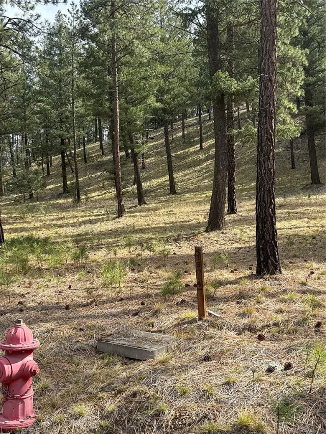 Build your dream home at the Wilderness Club 3 of 10