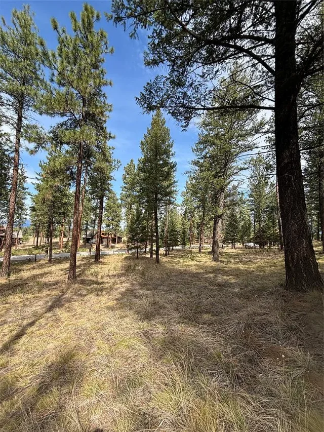 Build your dream home at the Wilderness Club 4 of 10