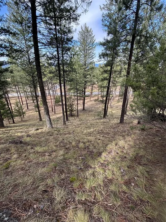 Build your dream home at the Wilderness Club 5 of 10