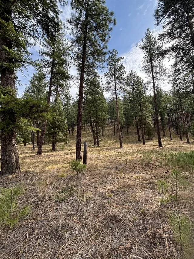 Build your dream home at the Wilderness Club 7 of 10