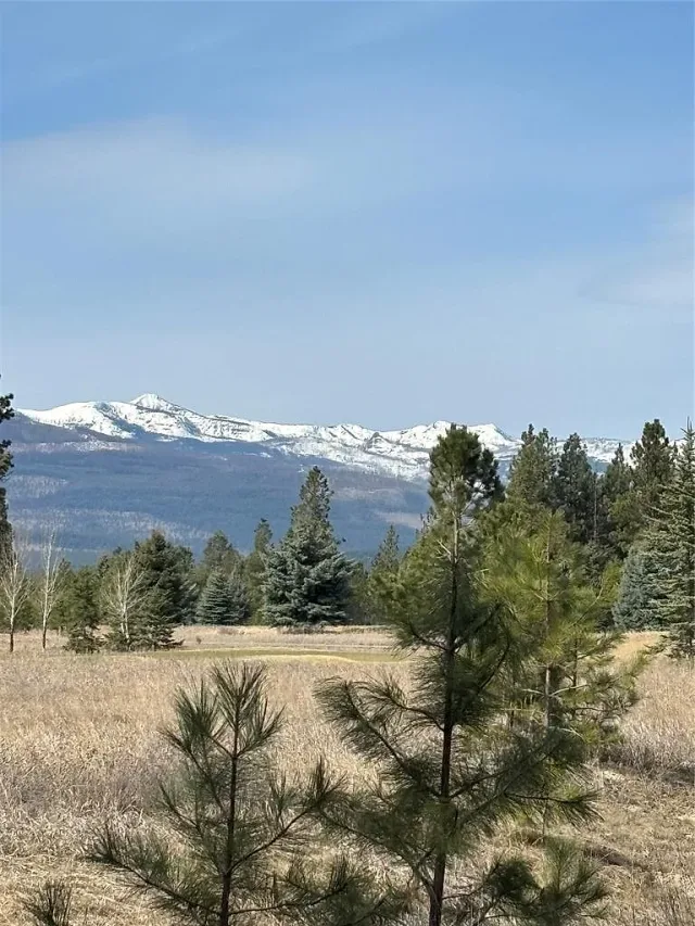 Build your dream home at the Wilderness Club 8 of 10