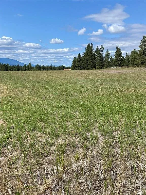 Wilderness Club lot with a proposed build plan 2 of 11