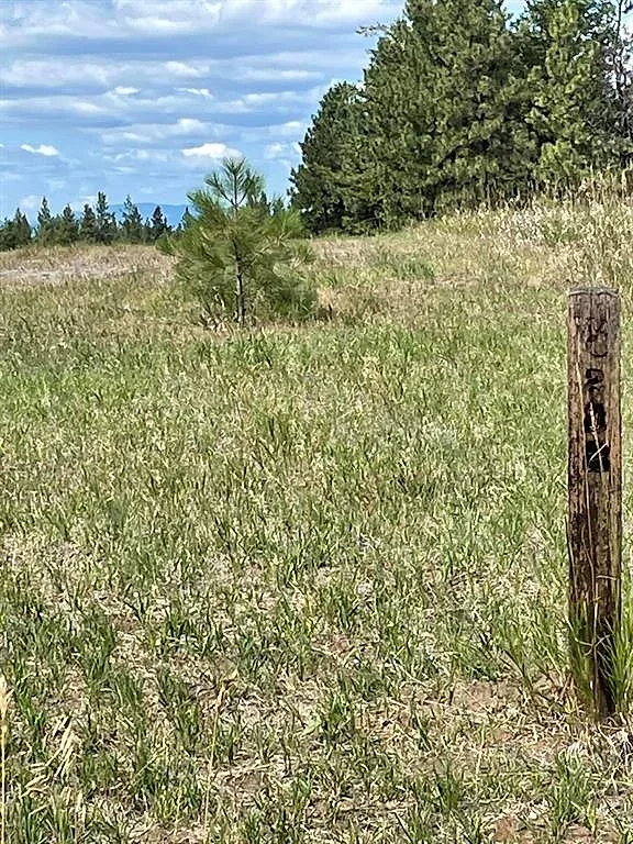 Wilderness Club lot with a proposed build plan 3 of 11