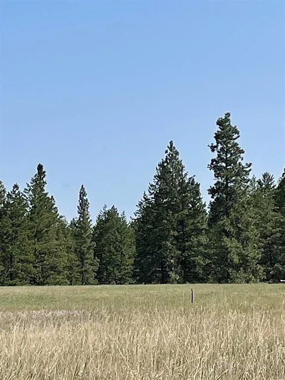 Wilderness Club lot with a proposed build plan 6 of 11
